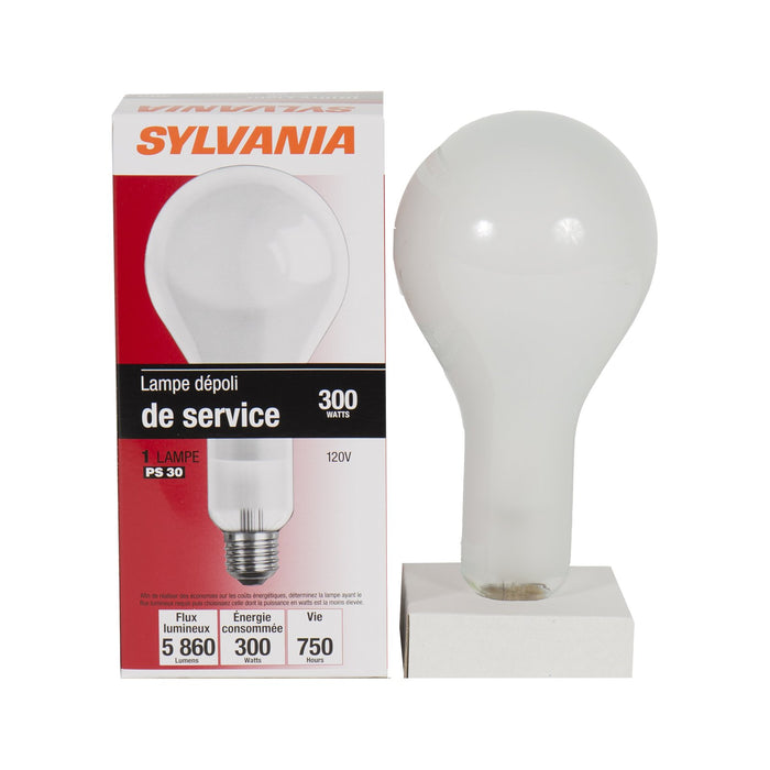 Ampoule dépolie 300 watts #15735